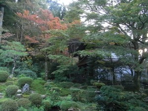 fall in kyoto