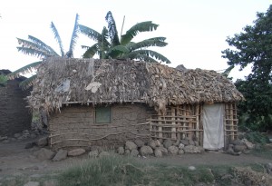 tanzania house