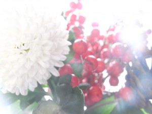 newyearflower