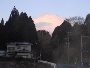 red Fuji