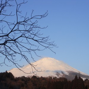 Mt.Fuji